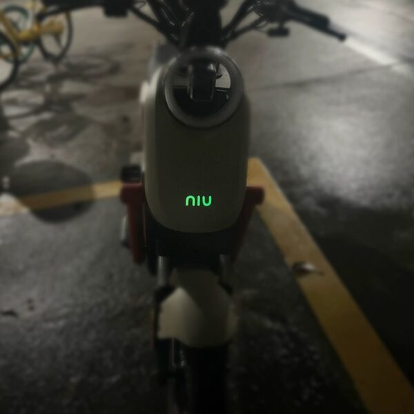 NIU Fluorescent Logo Sticker