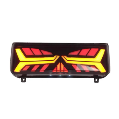 NQi-Series Custom Matrix Tail light